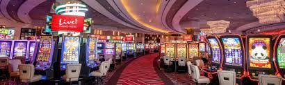 167 bet login